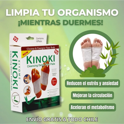 Parches KINOKI: Despierta renovado y libre de toxinas, naturalmente.