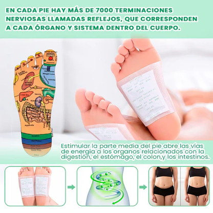 Parches KINOKI: Despierta renovado y libre de toxinas, naturalmente.